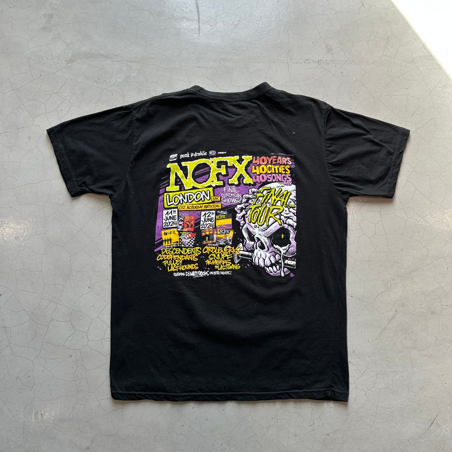 Vintage NOFX Punk in Drublic T-Shirt