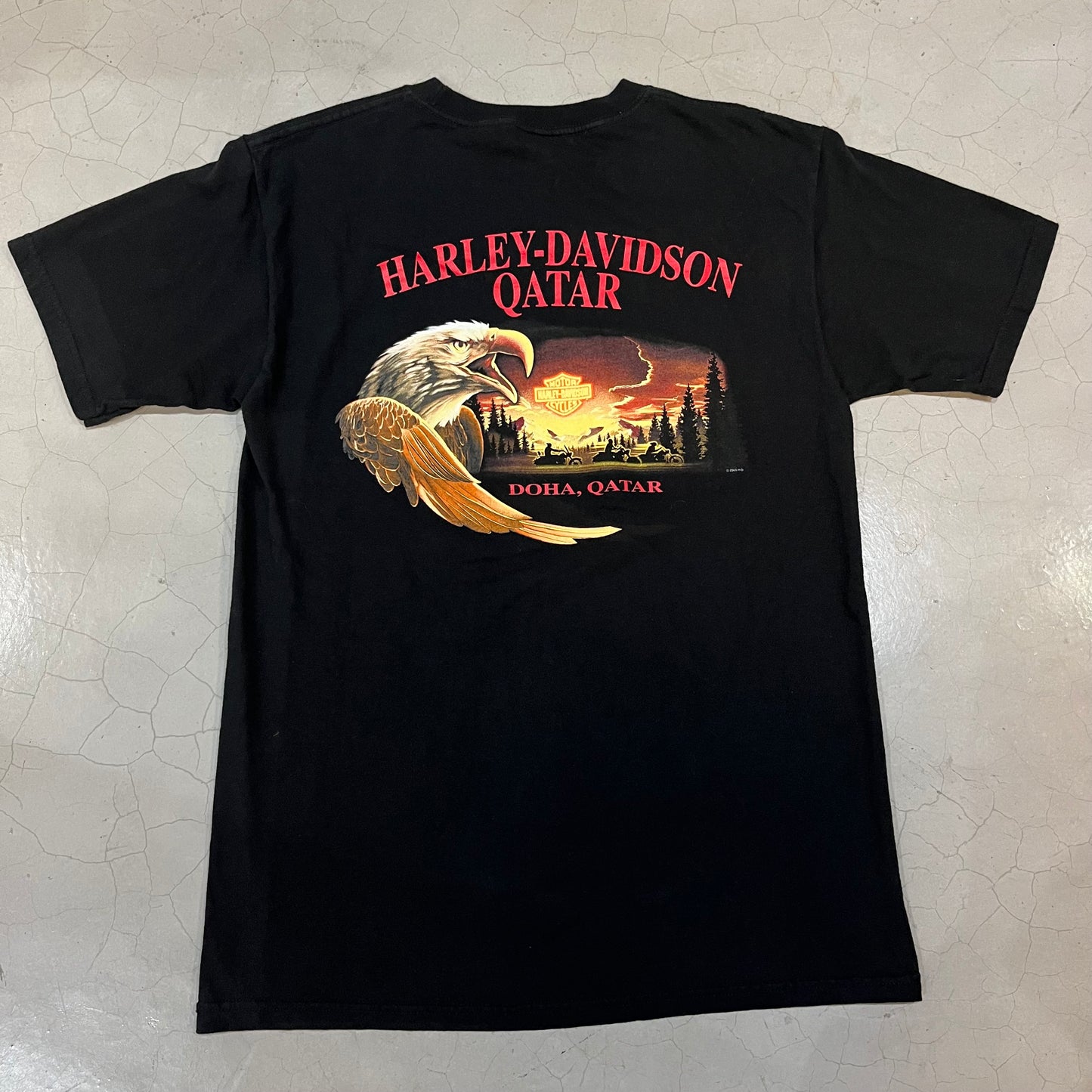 Vintage 2006 Harley Davidson Qatar Eagle T-Shirt