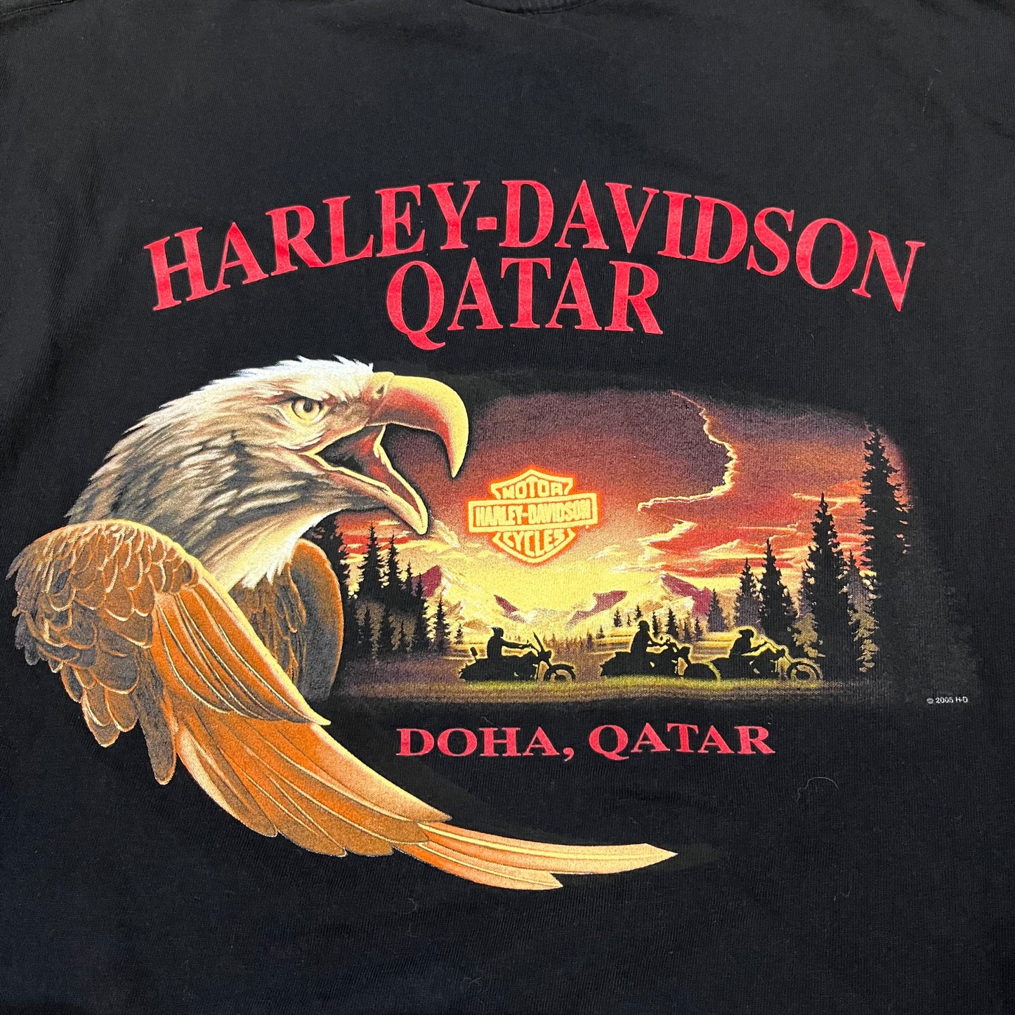 Vintage 2006 Harley Davidson Qatar Eagle T-Shirt