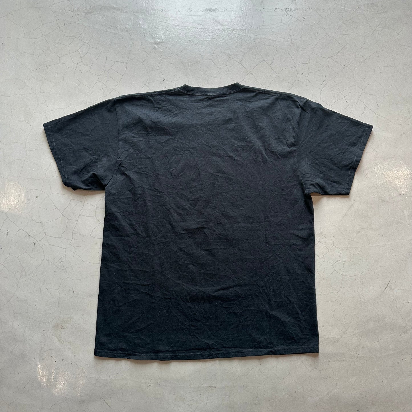 Disney Approach with Caution T-Shirt