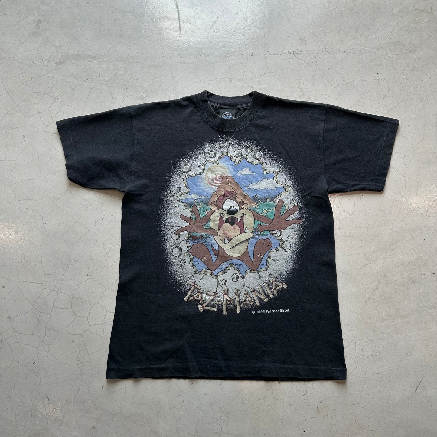 Vintage Warner Bros Tazmania 1995 T-Shirt