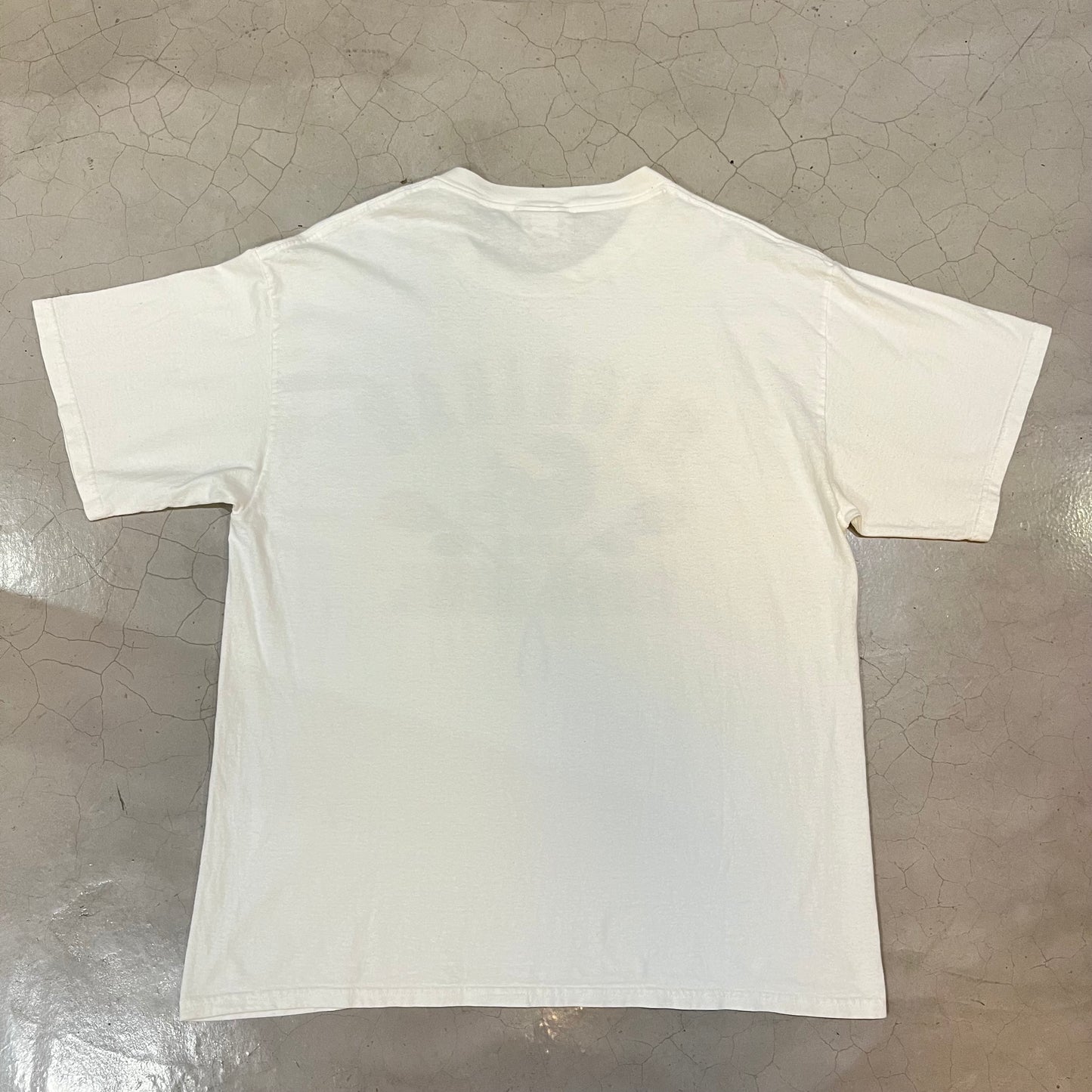 Vintage 1998 Michigan Rose Bowl Lee Sports T-Shirt