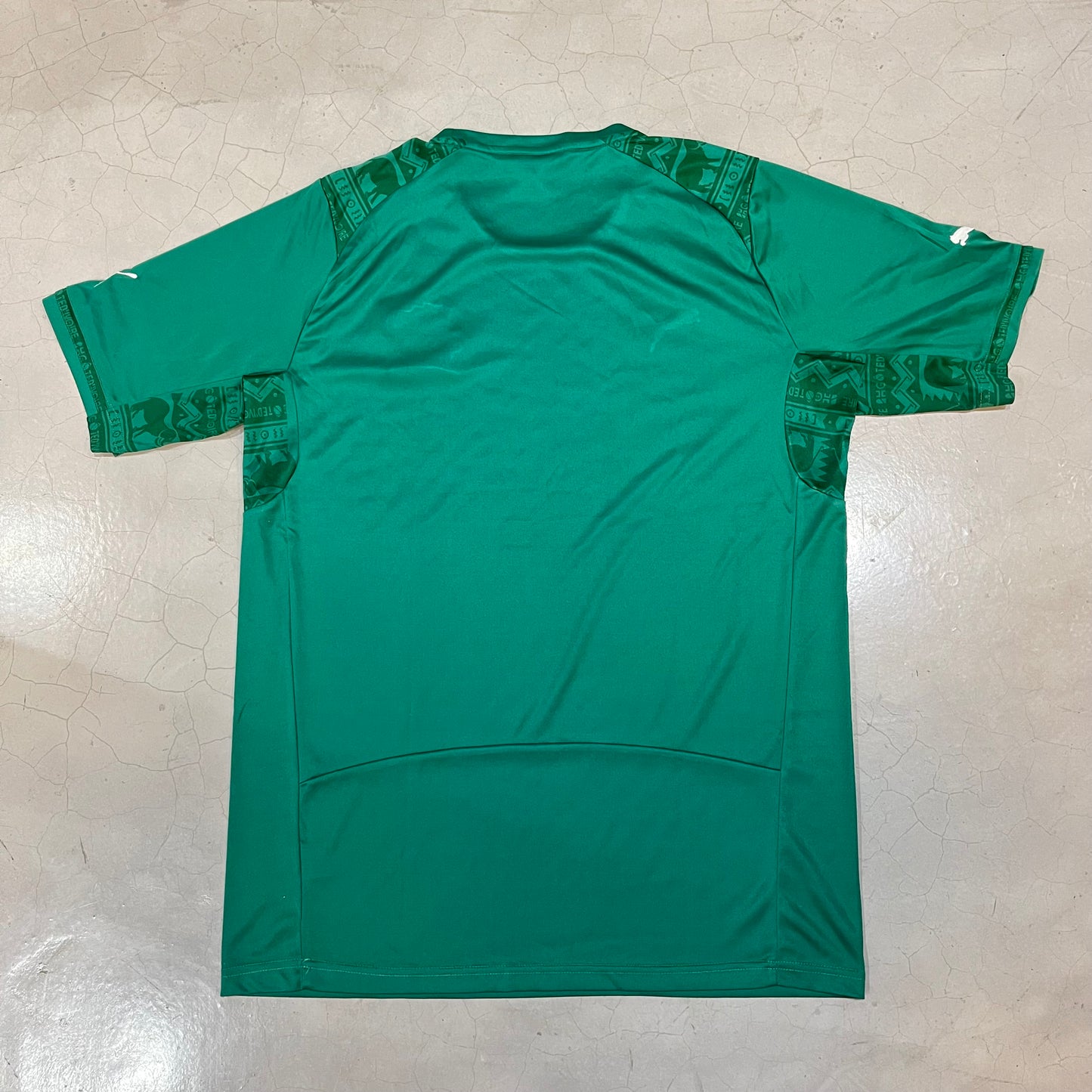 Ivory Coast 2014 Home
