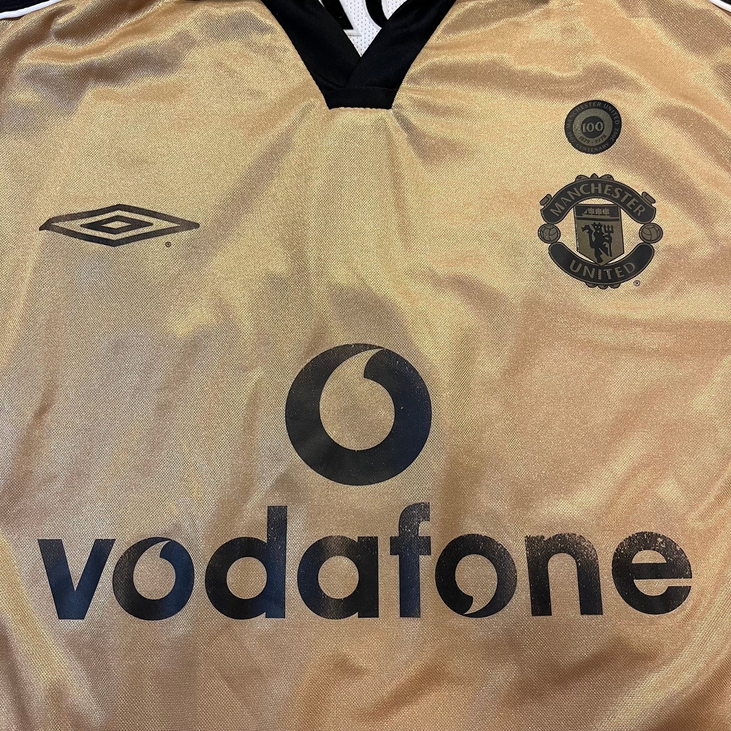 Manchester United 2001 Centenary Reversible Jersey (Veron)