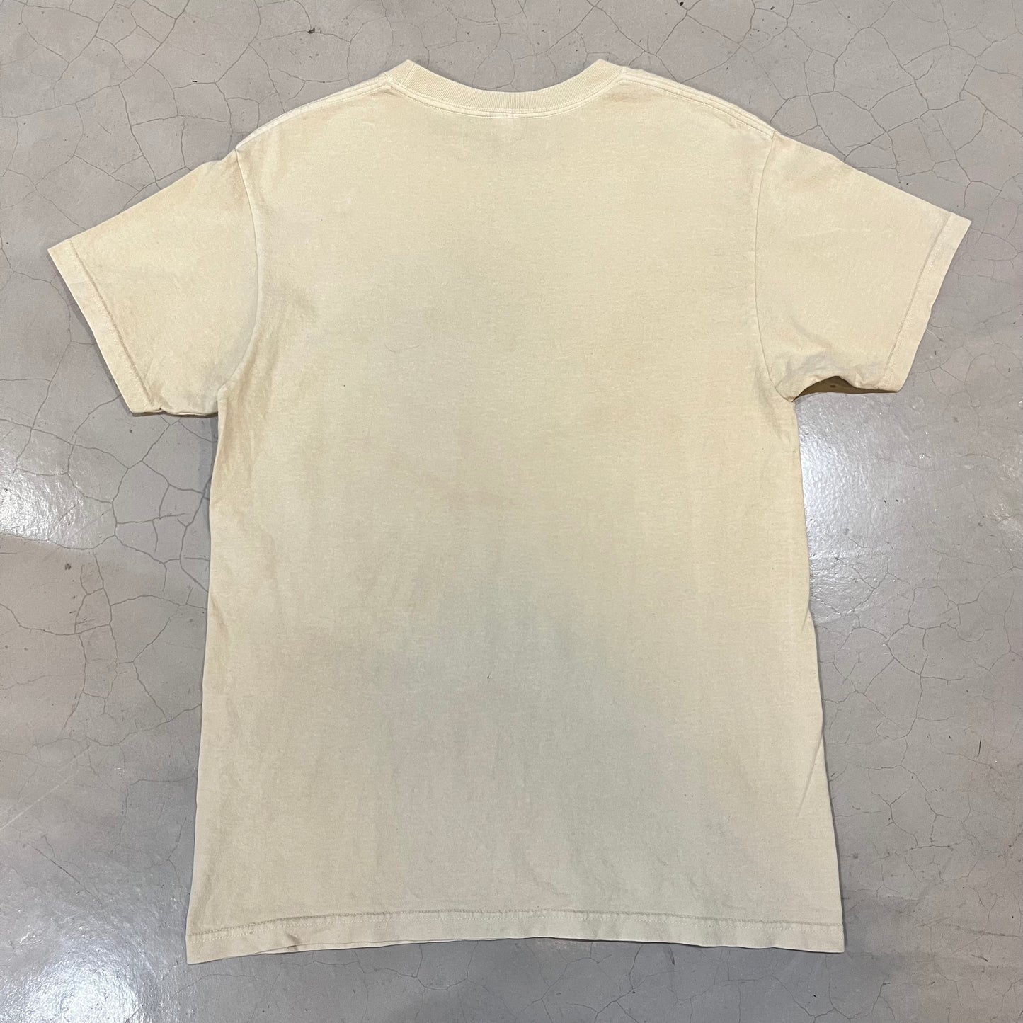 Aaliyah Band T-Shirt