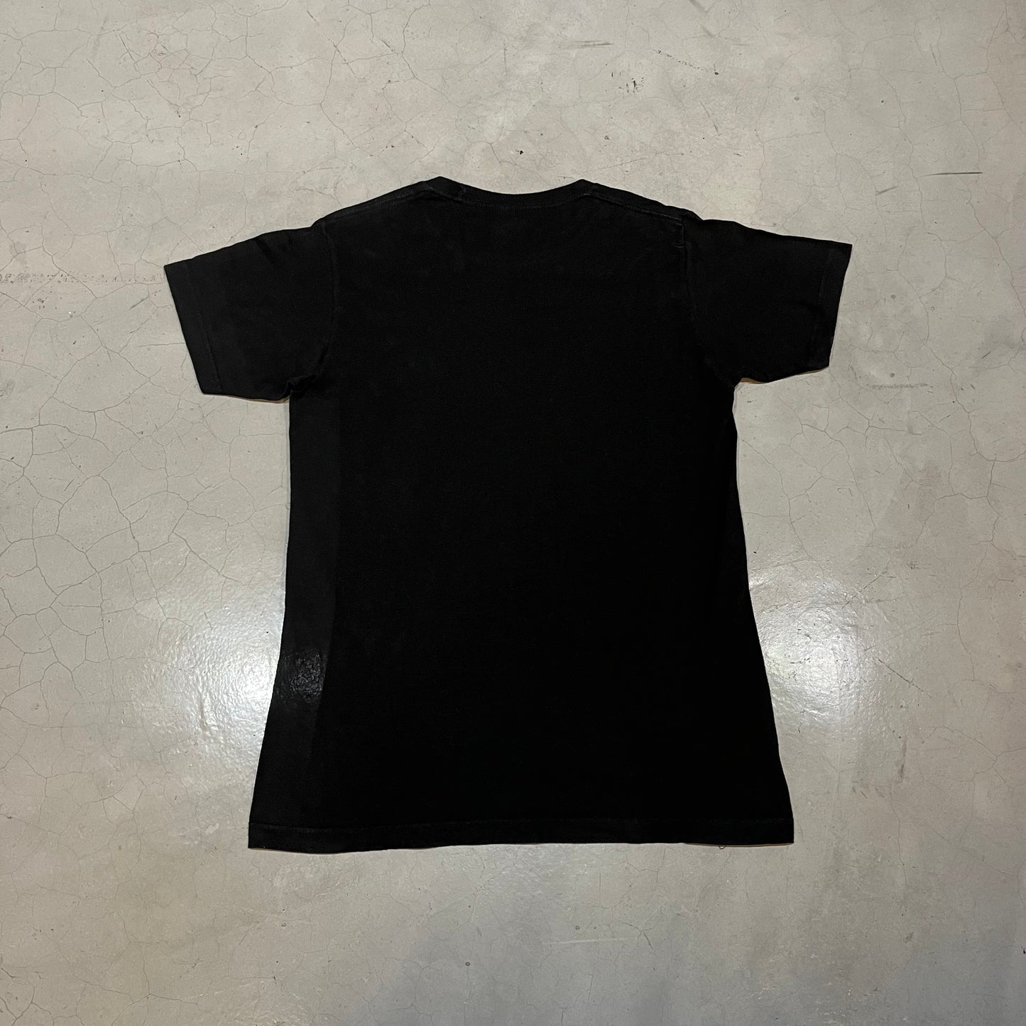 Red Hot Chilli Peppers 2009 Blood Sugar T-Shirt