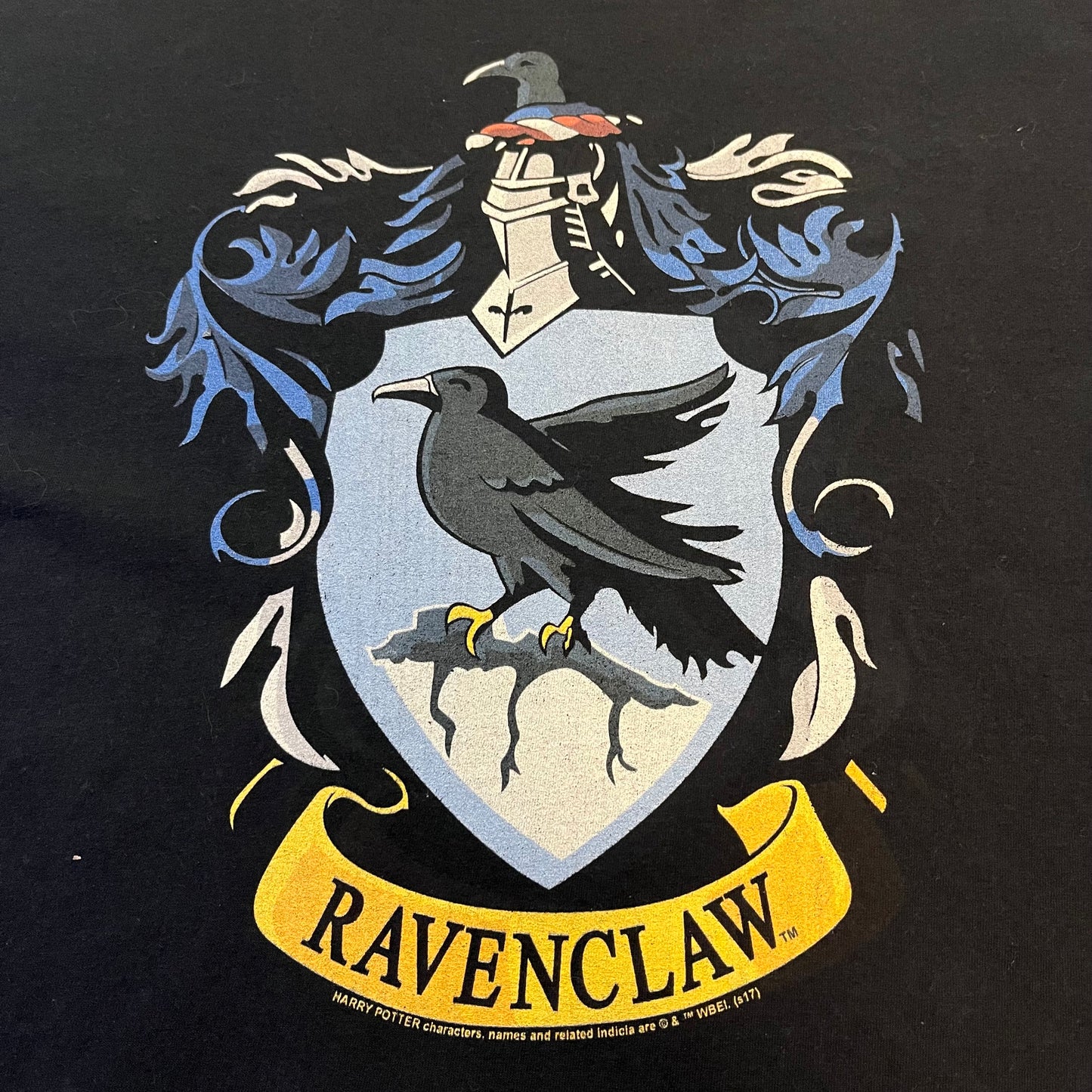Harry Potter Ravenclaw T-Shirt