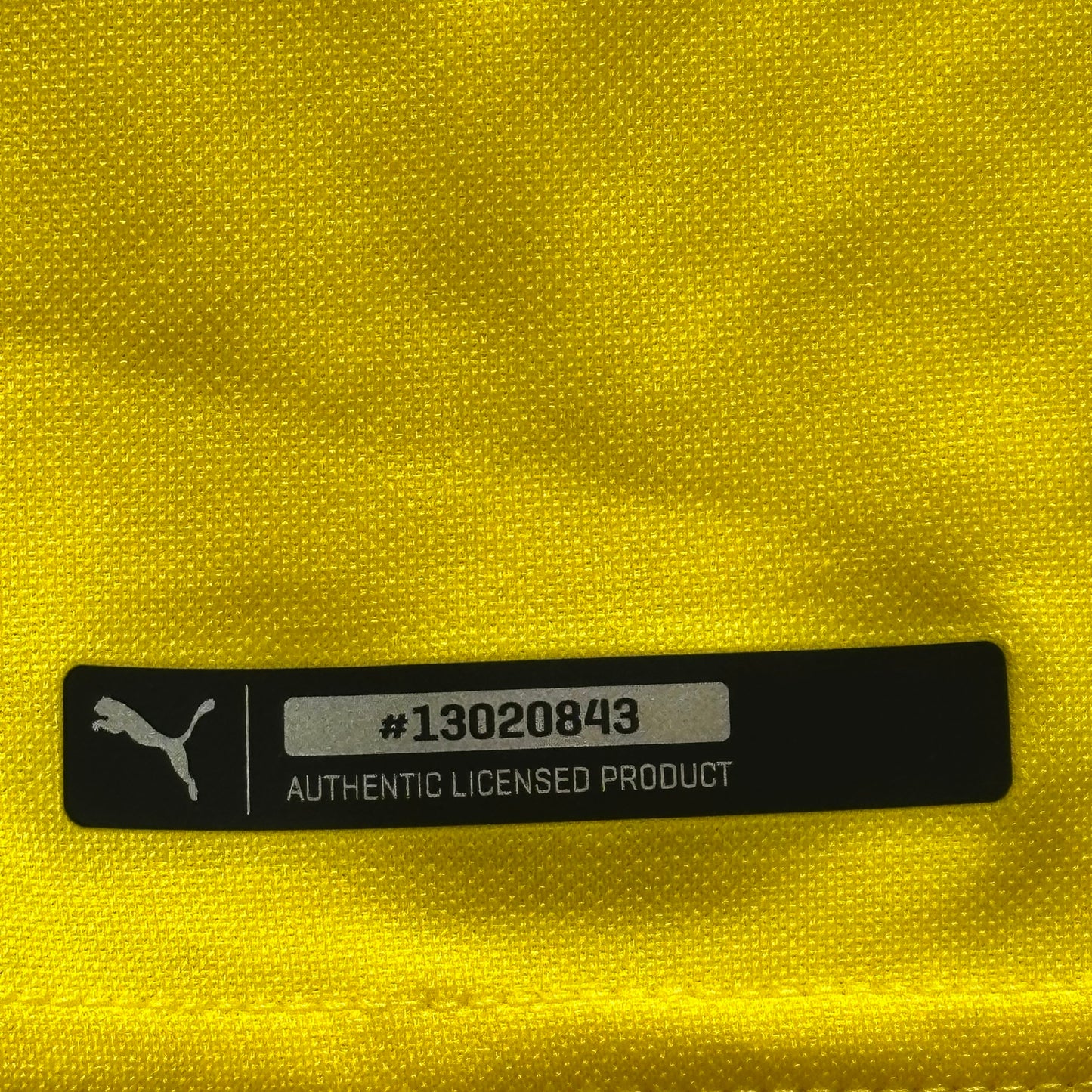 Dortmund 2018 Home (Marco Reus)