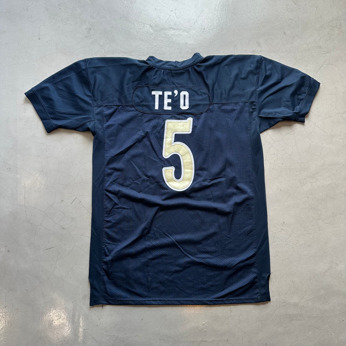 Notre Dame Fighting Irish (Te'O) College Jersey