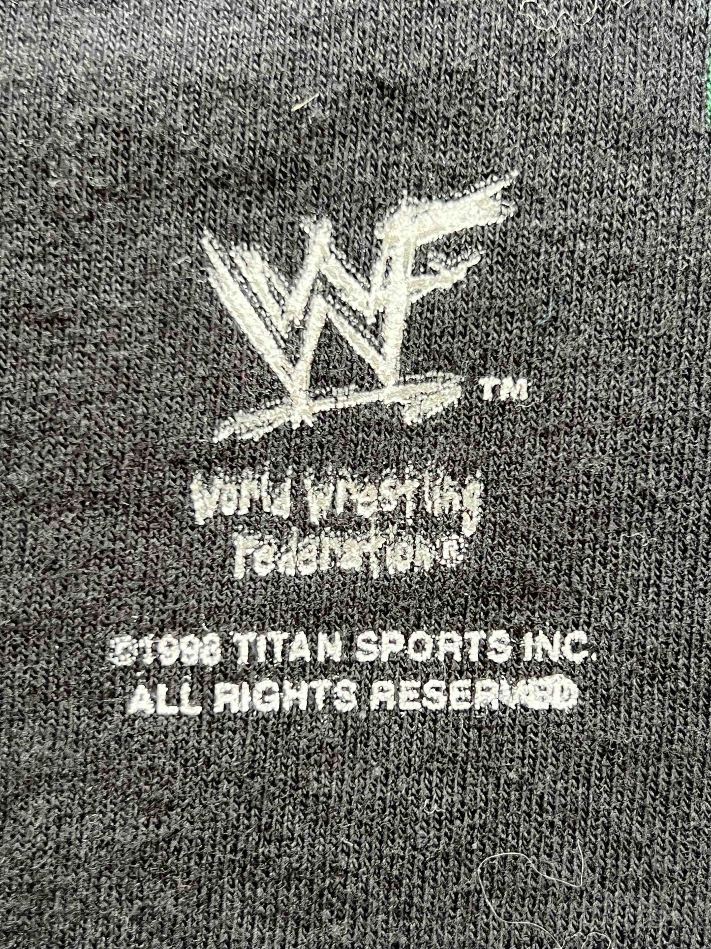 Vtg 1999 DX WWF T-Shirt (HHH, CHYNA, XPAC)