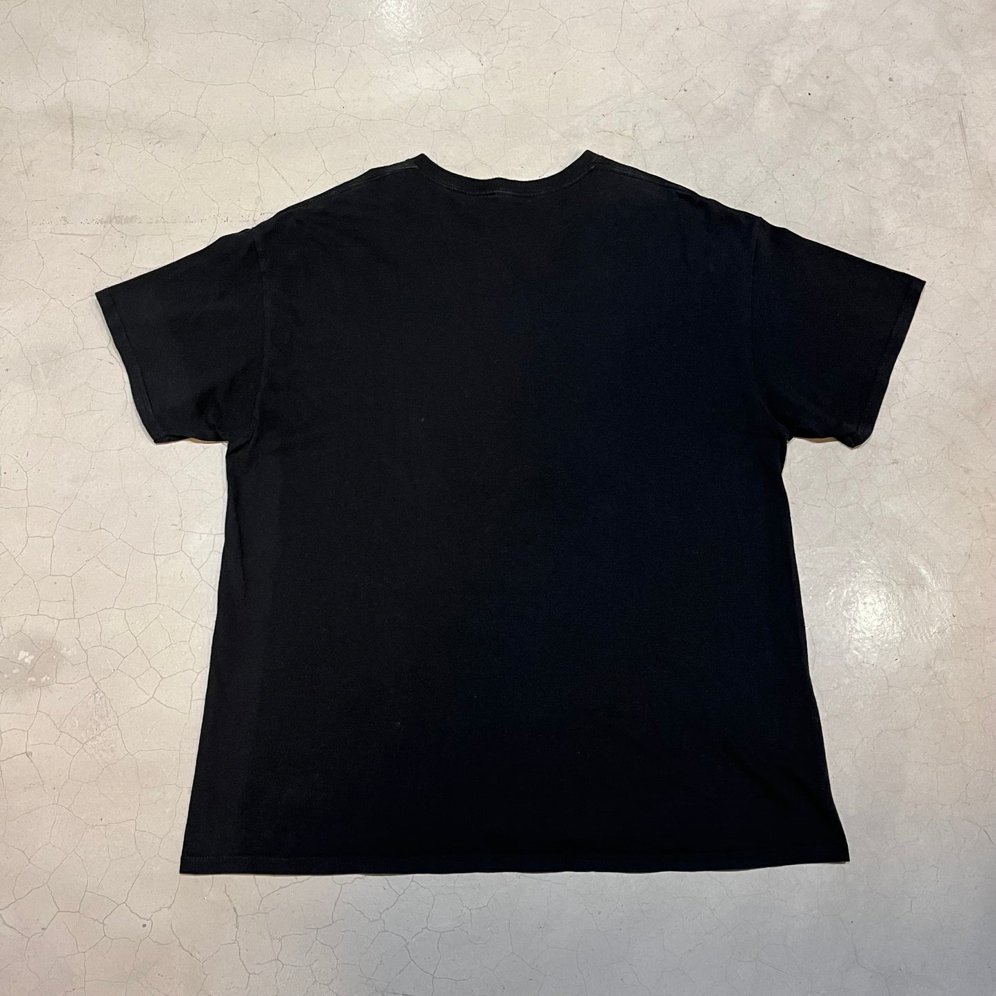 Deftones Around the Fur Music Tee