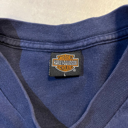 Harley Davidson Arkansas T-shirt