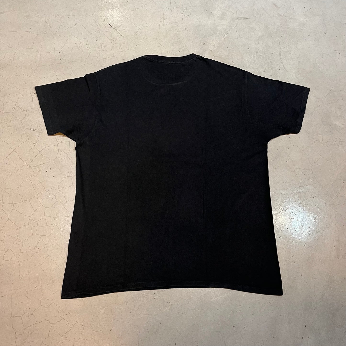 Led Zeppelin 2015 T-shirt