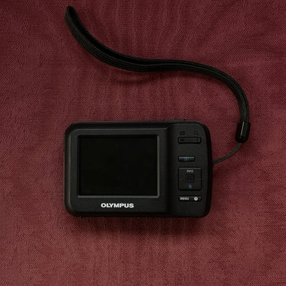 Olympus T-10
