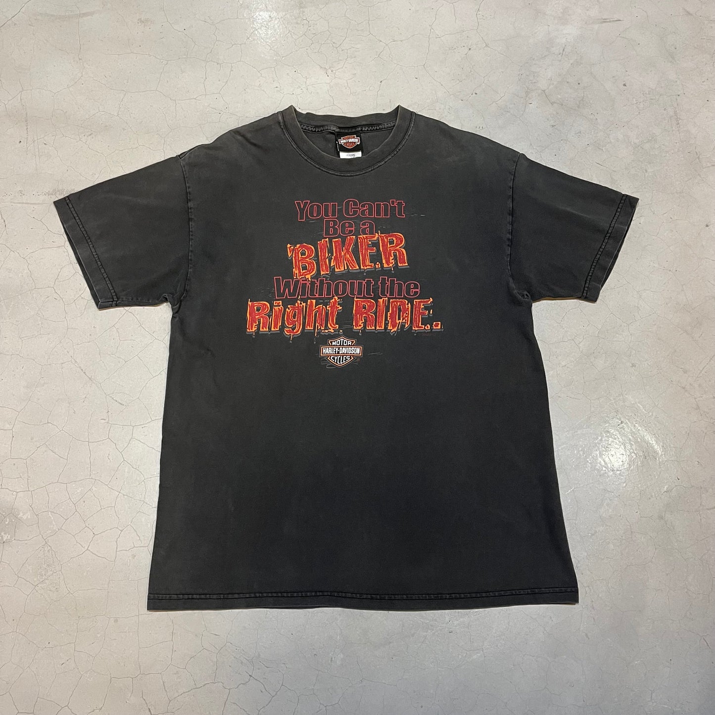 Vintage 2002 Harley Davidson Ohio T-shirt