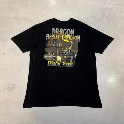 Harley Davidson Poland AOP T-shirt