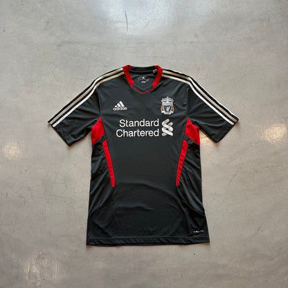 Liverpool 2011 Training Jersey