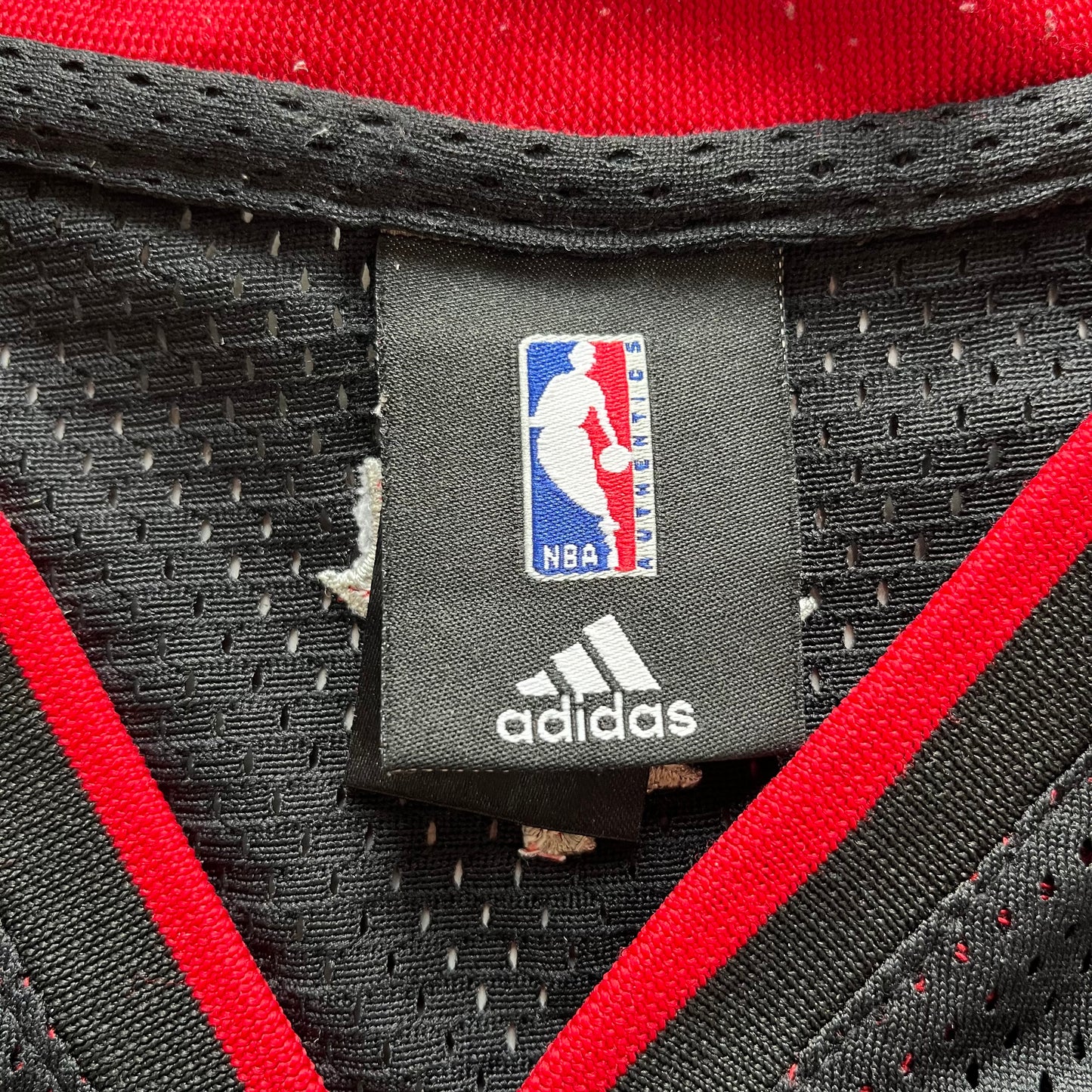 NBA Toronto (Calderon) Jersey