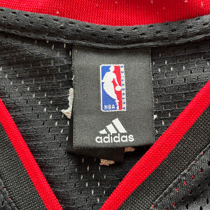 NBA Toronto (Calderon) Jersey