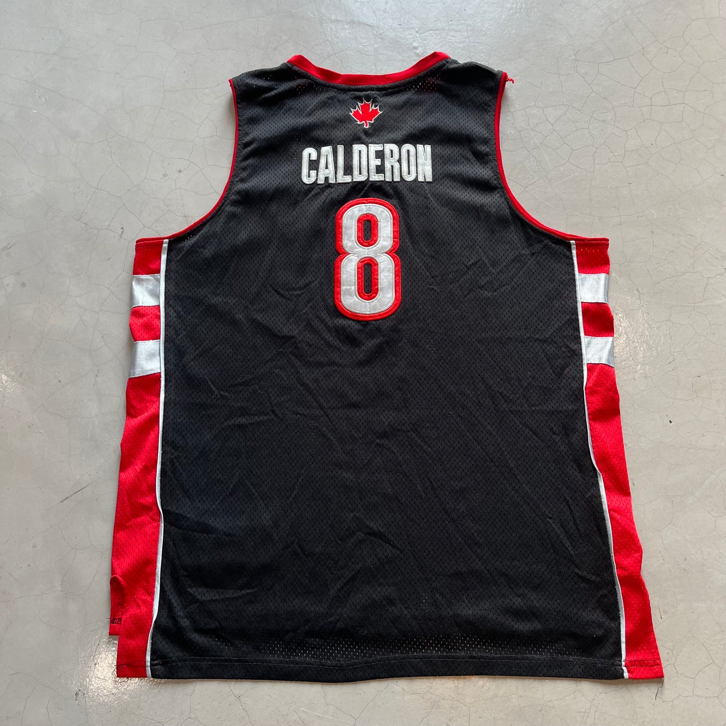NBA Toronto (Calderon) Jersey
