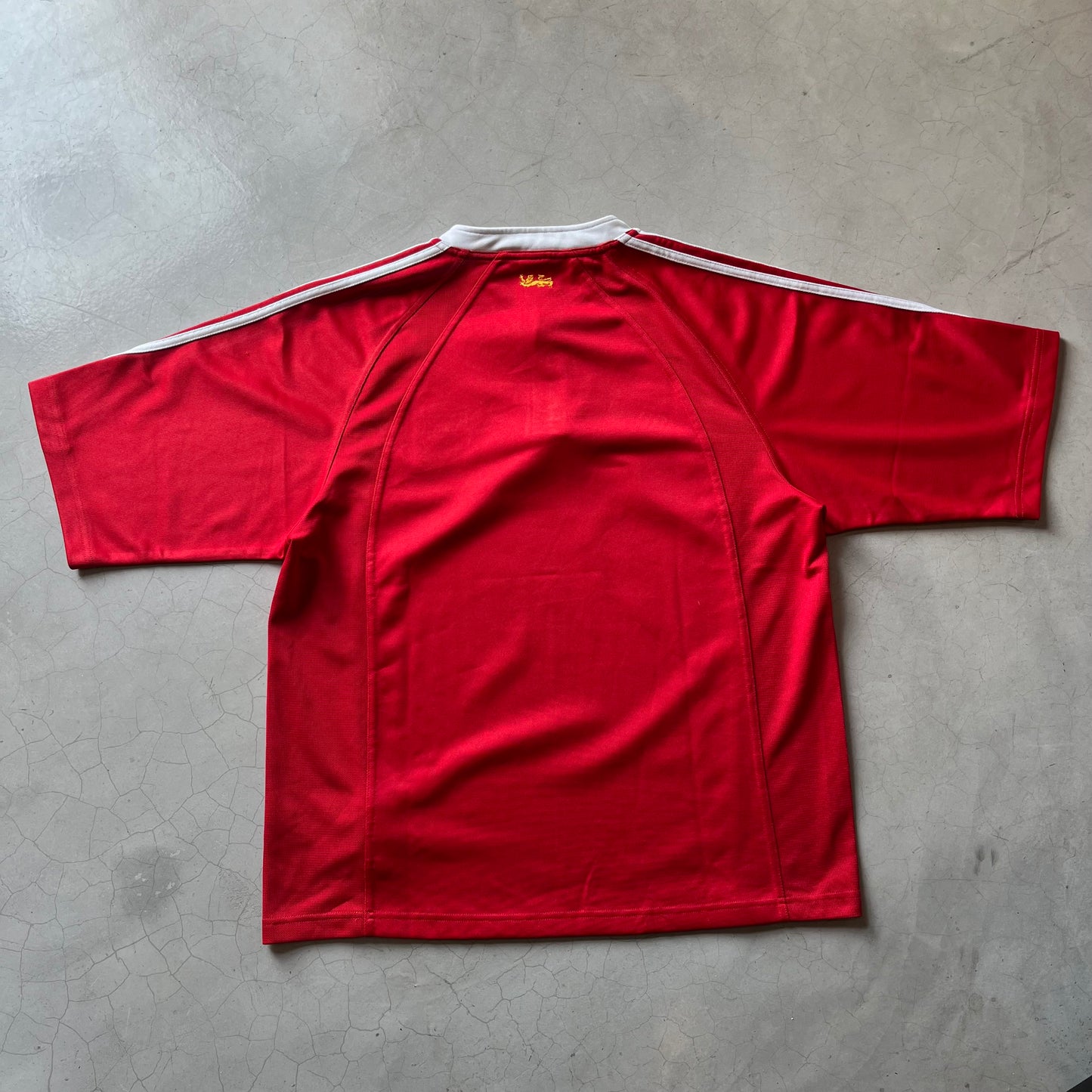 Vintage British Lions 2005 Lions Tour New Zealand Jersey