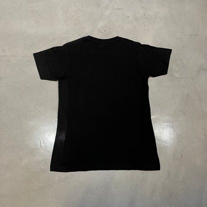 Red Hot Chilli Peppers 2009 Blood Sugar T-Shirt