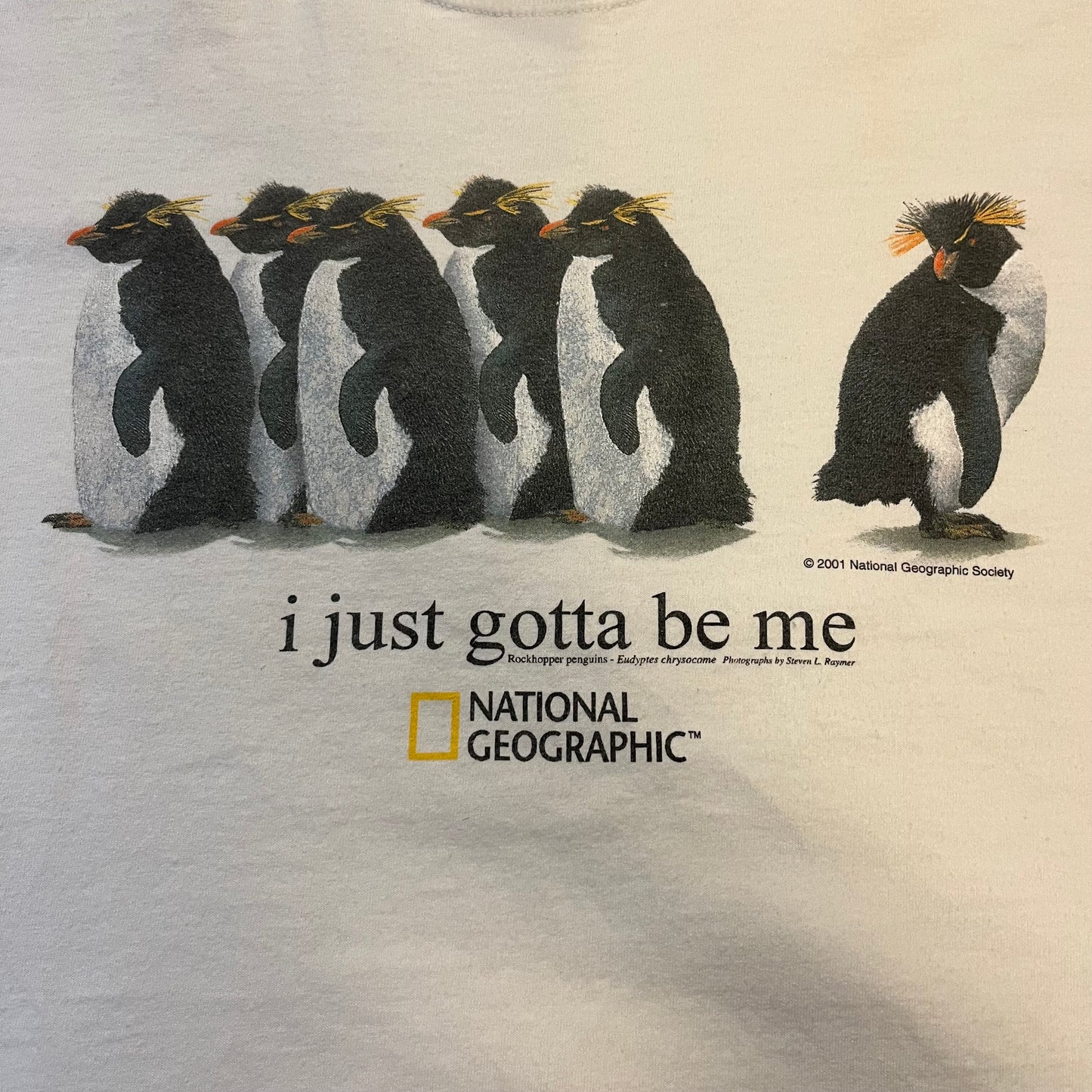 Vintage 2004 National Geographic 'I Just Gotta Be Me' T-Shirt