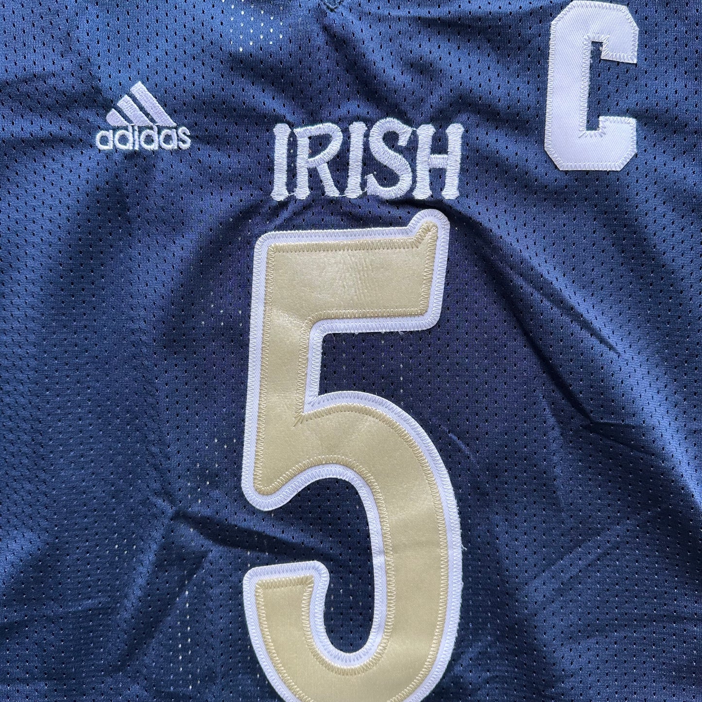 Notre Dame Fighting Irish (Te'O) College Jersey