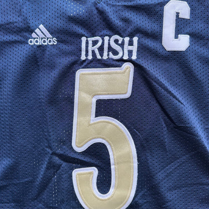 Notre Dame Fighting Irish (Te'O) College Jersey