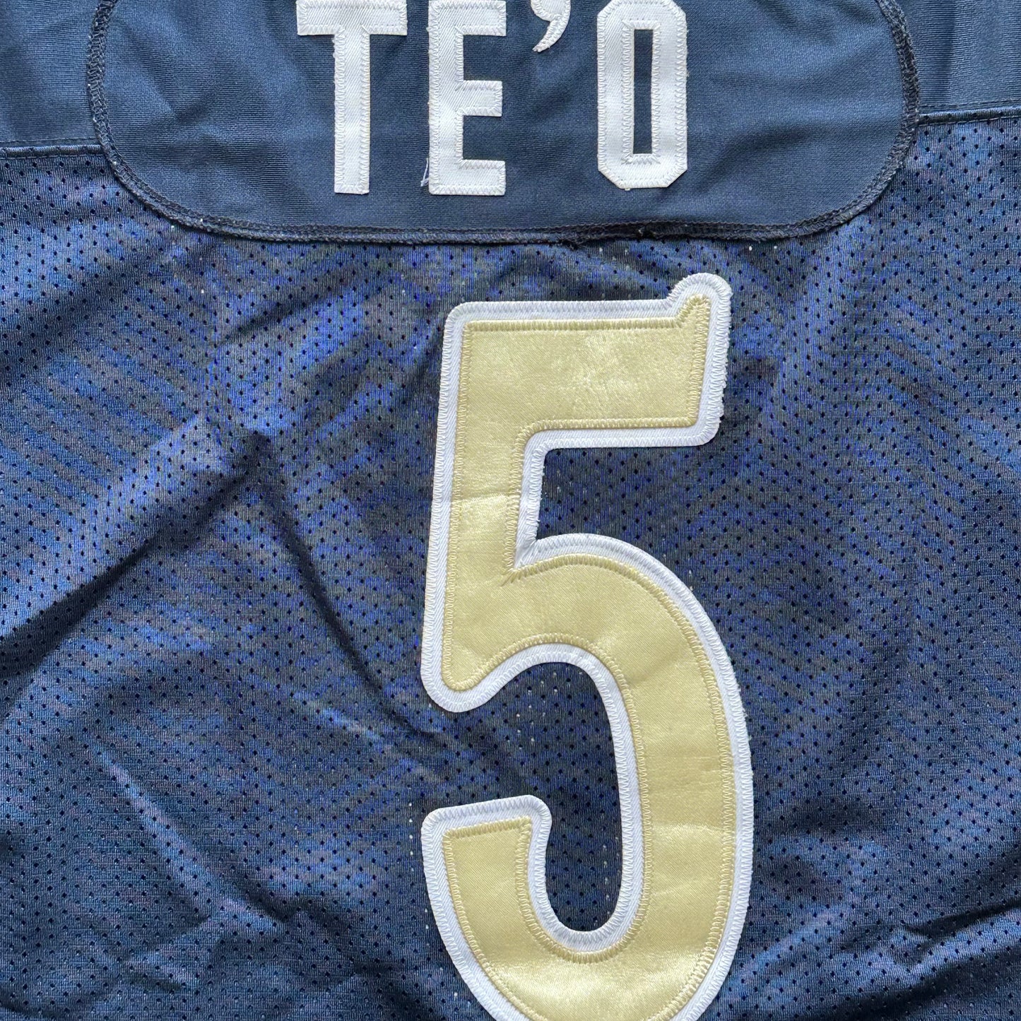 Notre Dame Fighting Irish (Te'O) College Jersey
