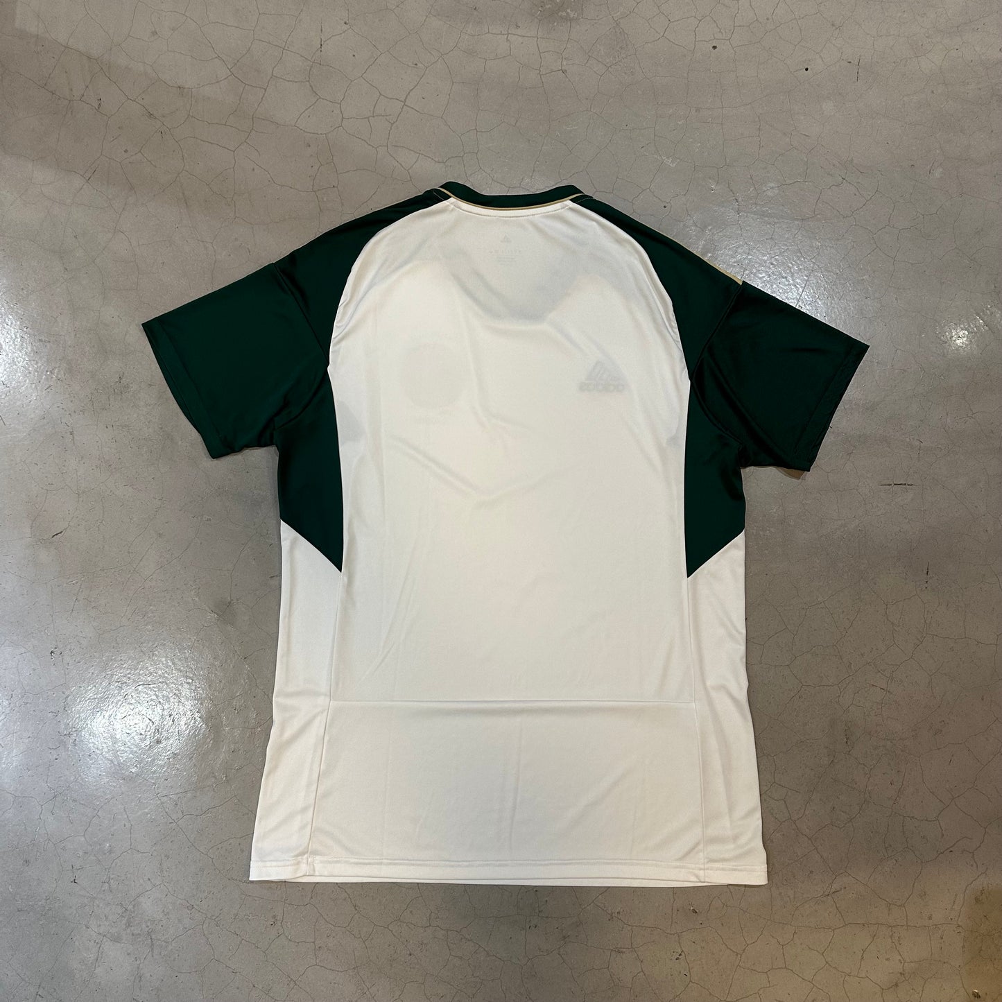 Saudi Arabia 2022 Away Kit