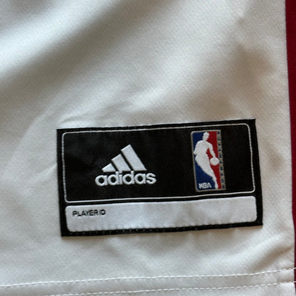 Miami heat (James) nba jersey