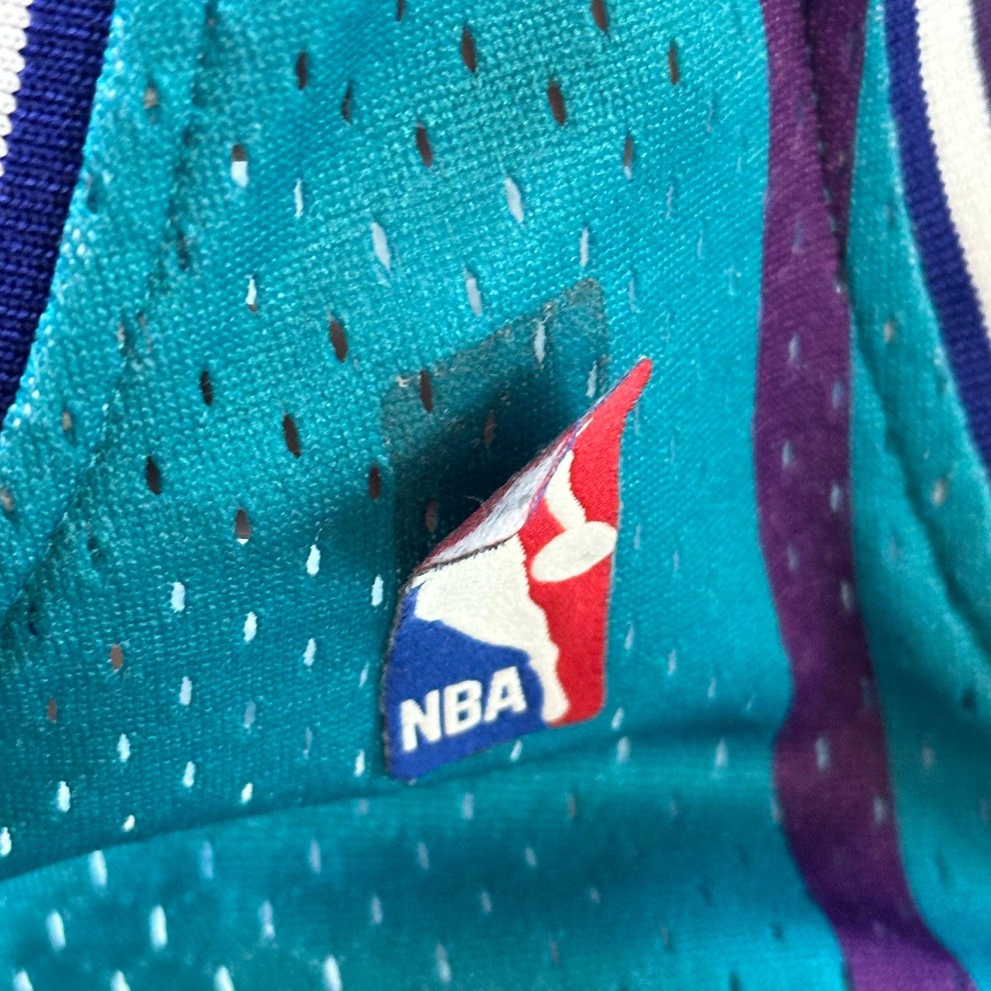 Charlotte (Johnson) Nba jersey
