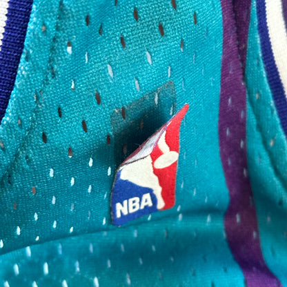 Charlotte (Johnson) Nba jersey