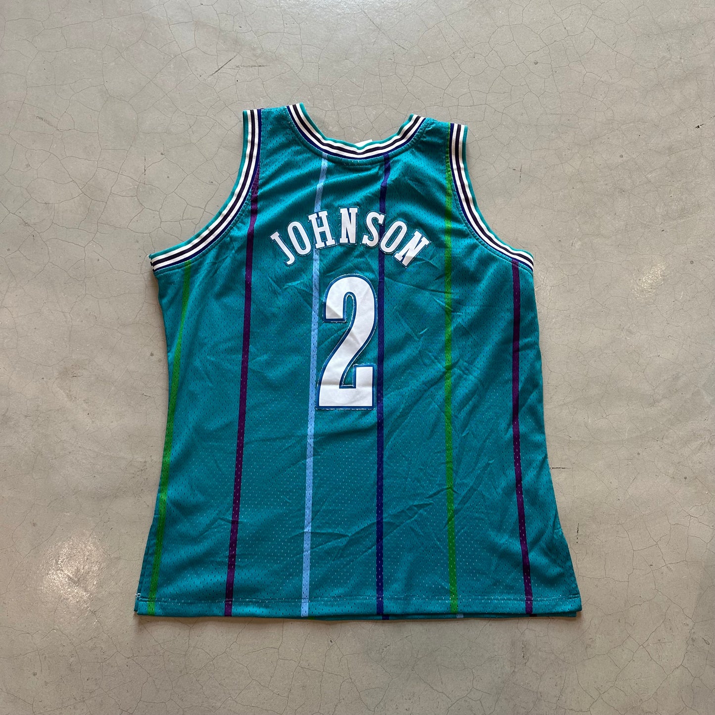 Charlotte (Johnson) Nba jersey