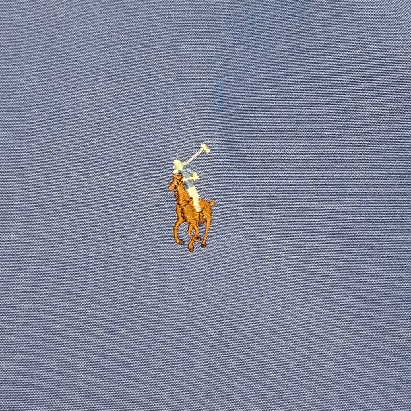 Polo Ralph Lauren Blue Button-up Shirt