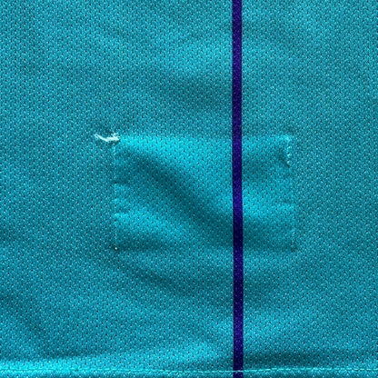 Champion Charlotte Hornets Mourning jersey