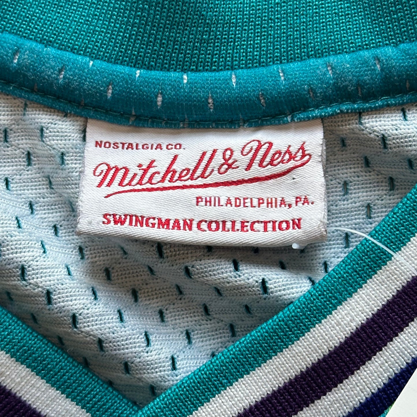 Charlotte (Johnson) Nba jersey