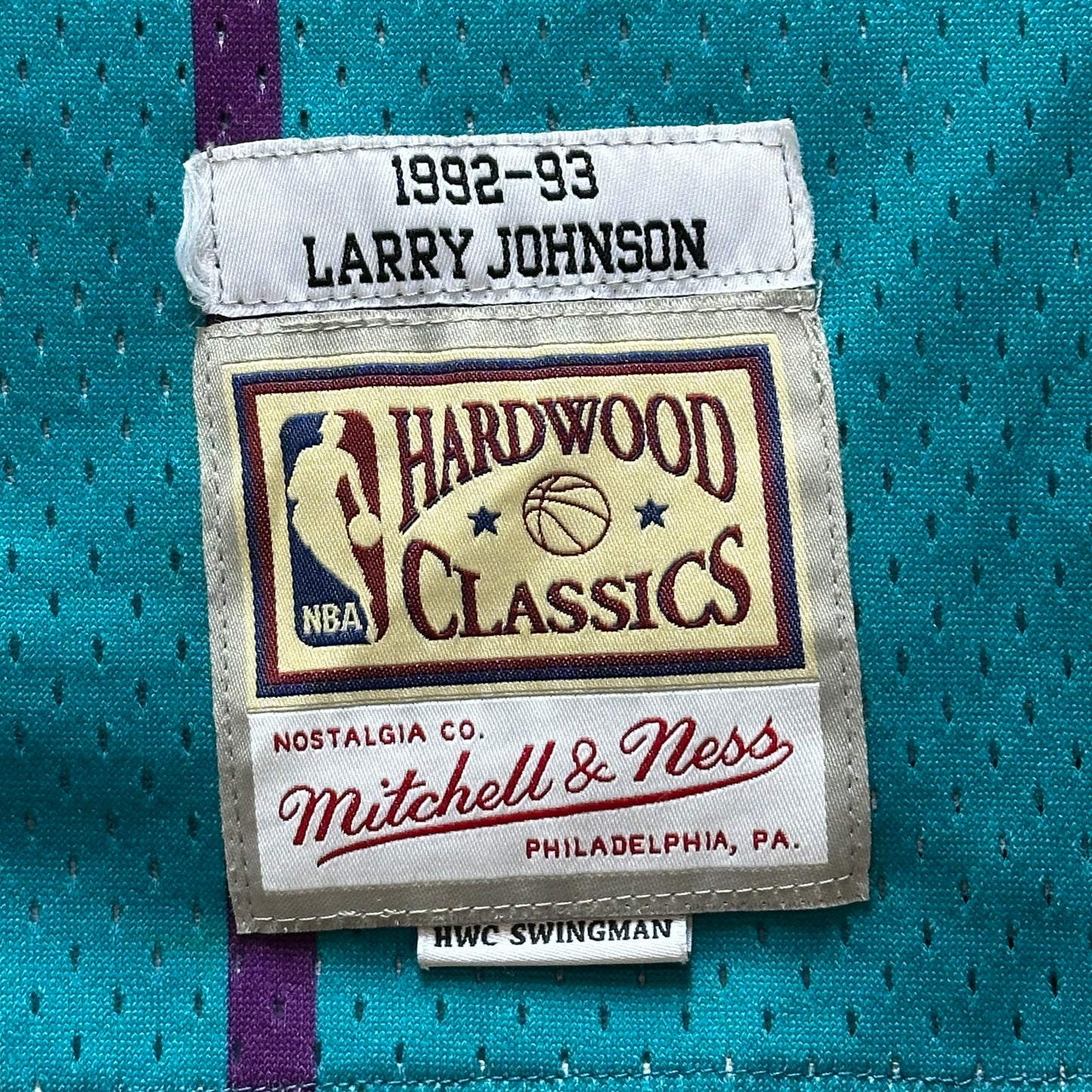 Charlotte (Johnson) Nba jersey