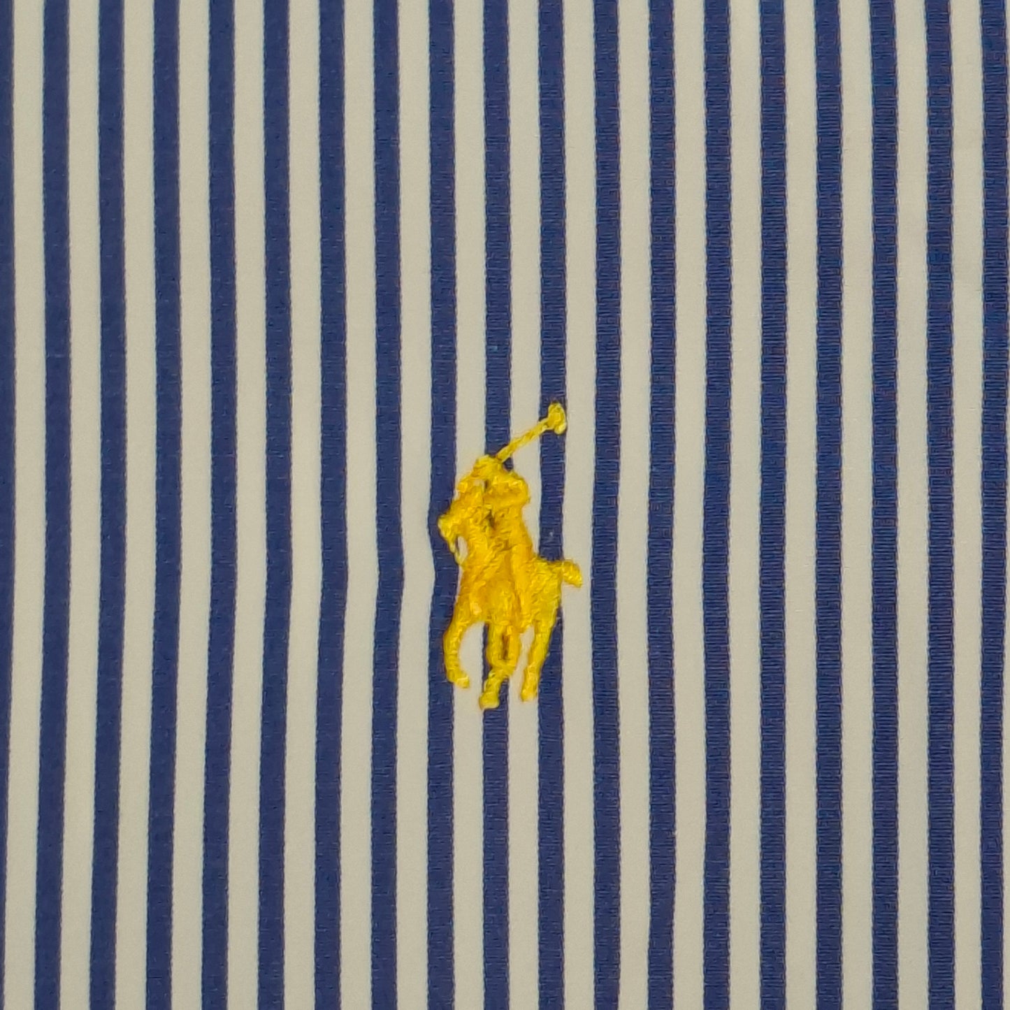Polo Ralph Lauren Shirt