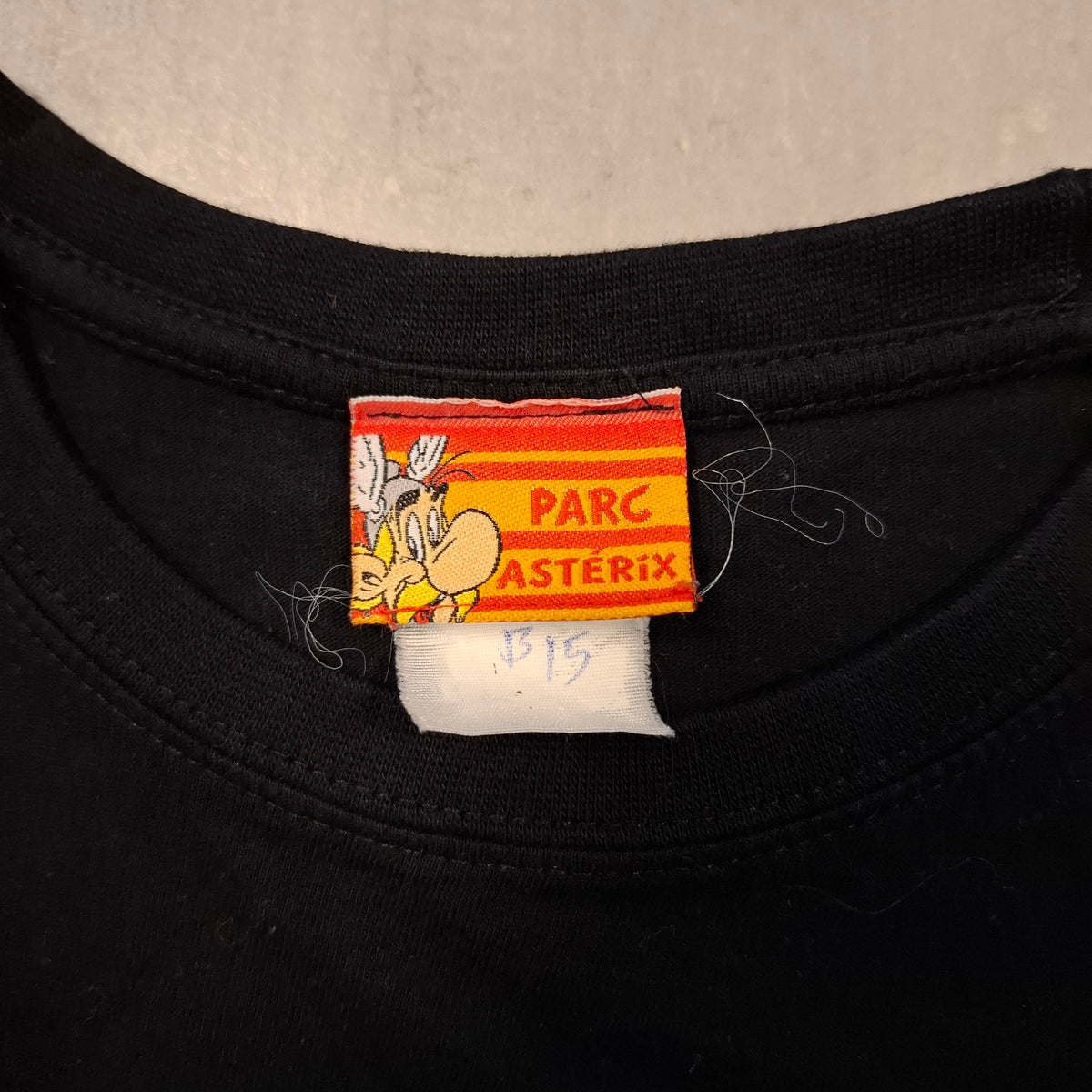 Parc Asterix 2010 Tee